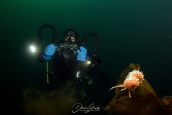 Nudi & diver by Daniel Strub 